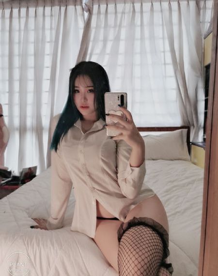 欧美枫叶手机壁纸_剧情片免费观看